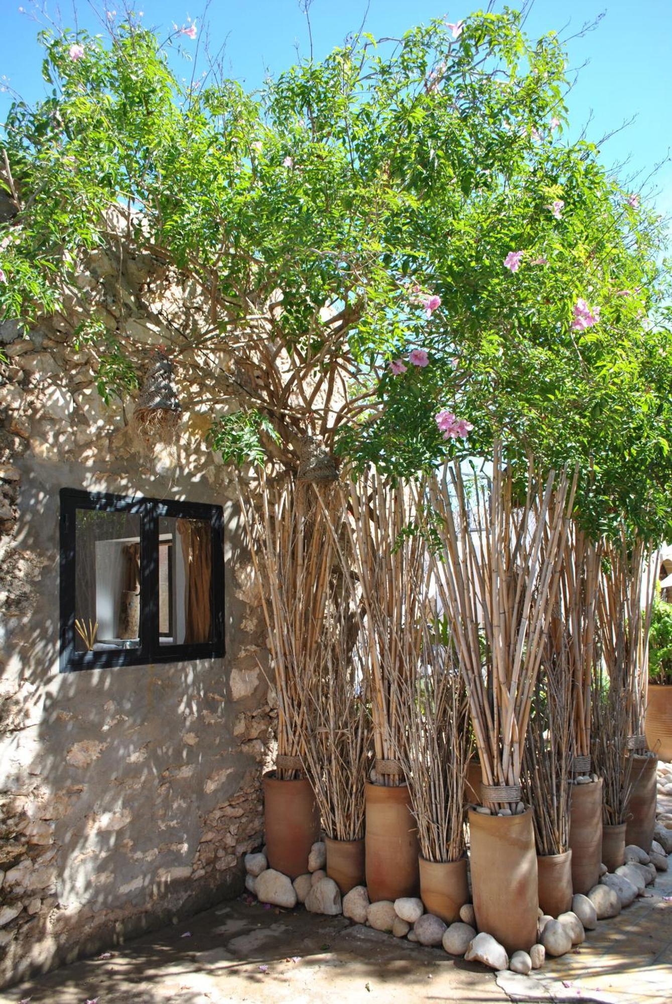 Maison Sidi Et Lalla Pensión *